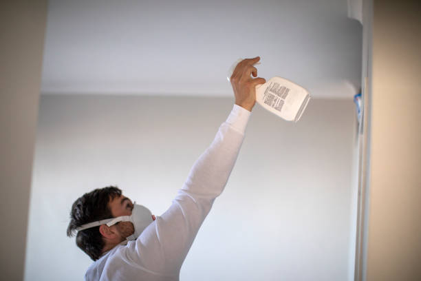 Best Attic Mold Removal  in North Bonneville, WA