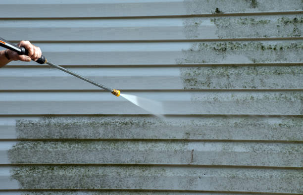 Best Mold Remediation  in North Bonneville, WA
