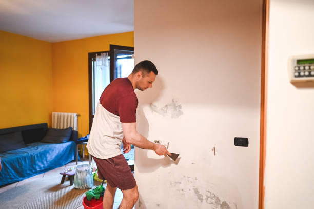 Best Commercial Mold Removal  in North Bonneville, WA